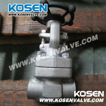 Forged Bolted Bonnet Gate Valves